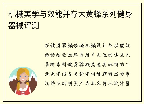 机械美学与效能并存大黄蜂系列健身器械评测